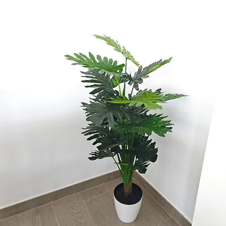 Cozy In Front Of The Natural Pools شقة El Pris